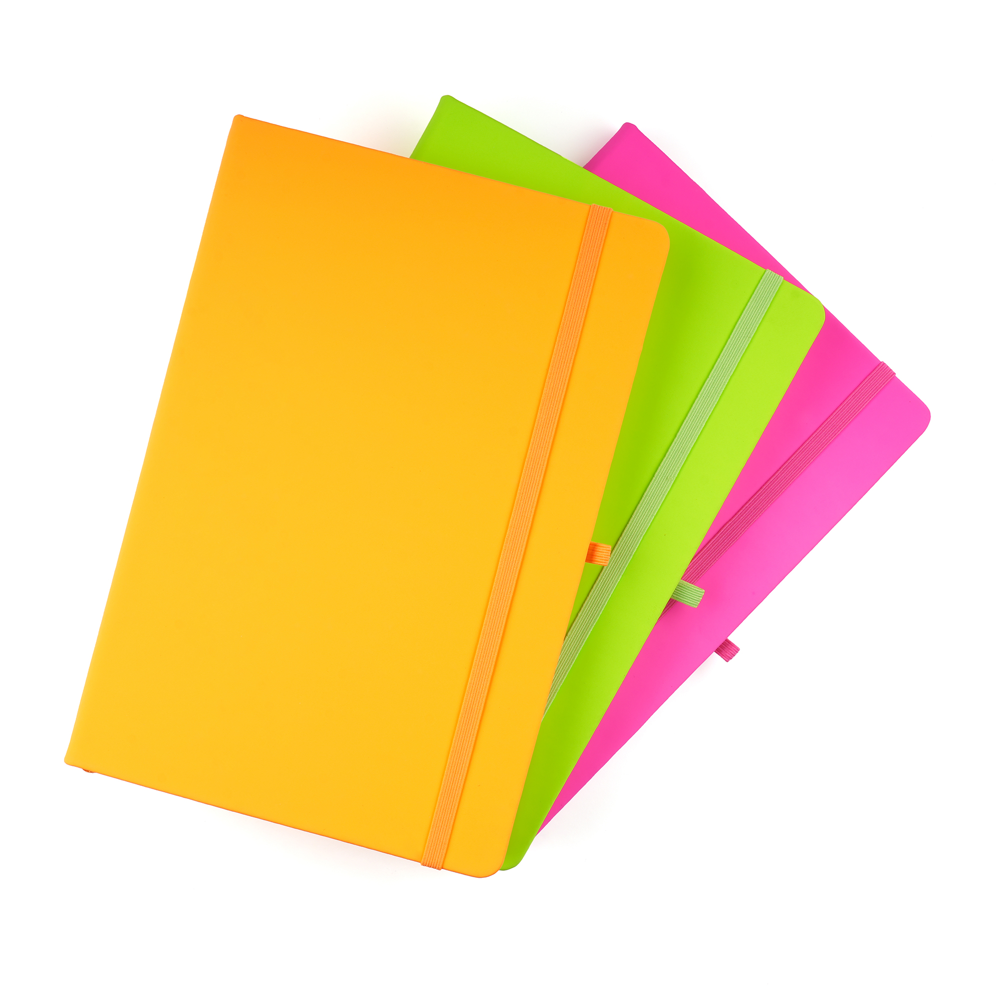 Picture of A5 Neon Mole Notebook